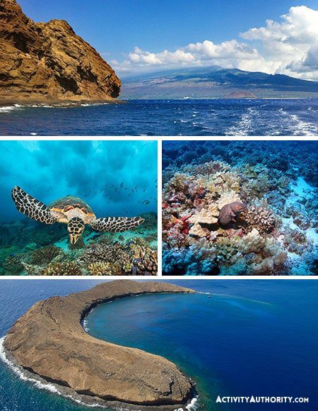 Advanced Molokini Snorkel Tour - iconic snorkeling destination