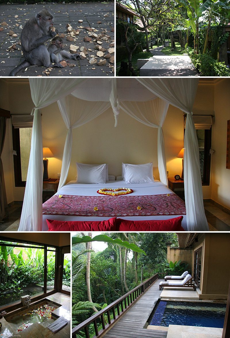 Bali Accommodations - Komaneka At Monkey Forest Bali Accommodations Komaneka At Monkey Forest