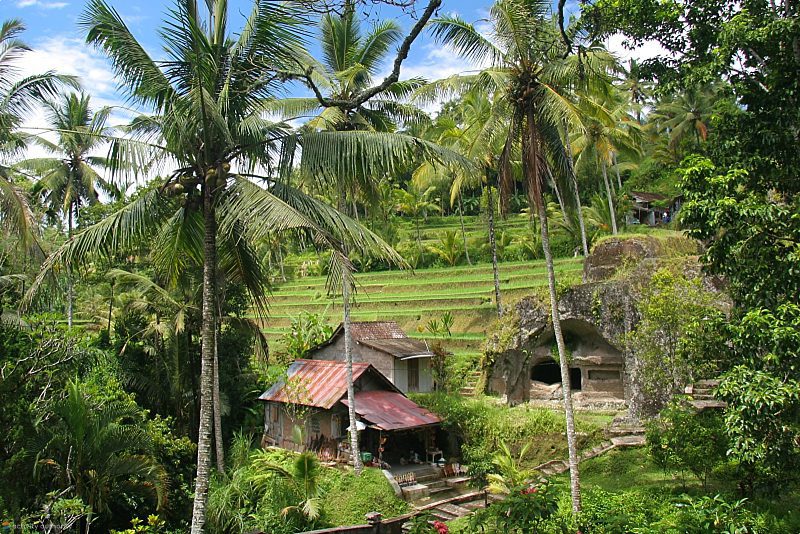 Bali Visa Information Scenery
