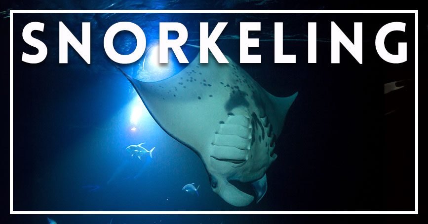 Big Island Snorkeling Big Island Snorkeling