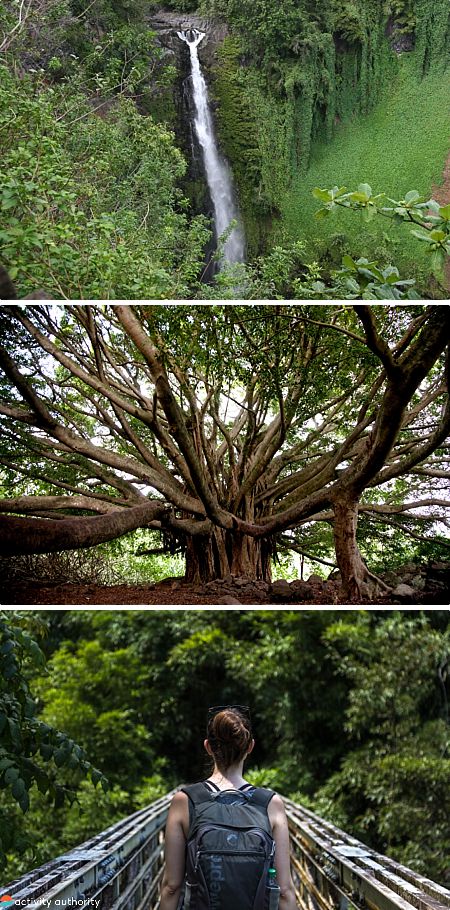Hiking Maui Fun