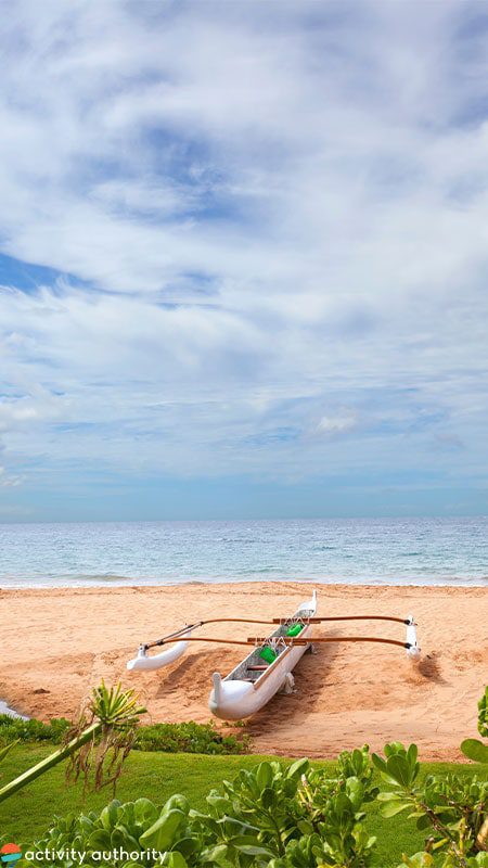 Kailua Ocean Adventures Palm Tree