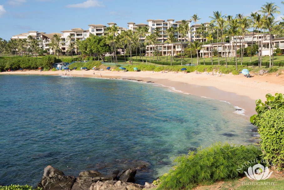 Top Maui Beaches Kapalua