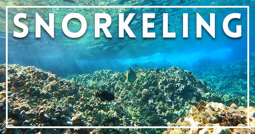 Kauai snorkeling Kauai snorkeling