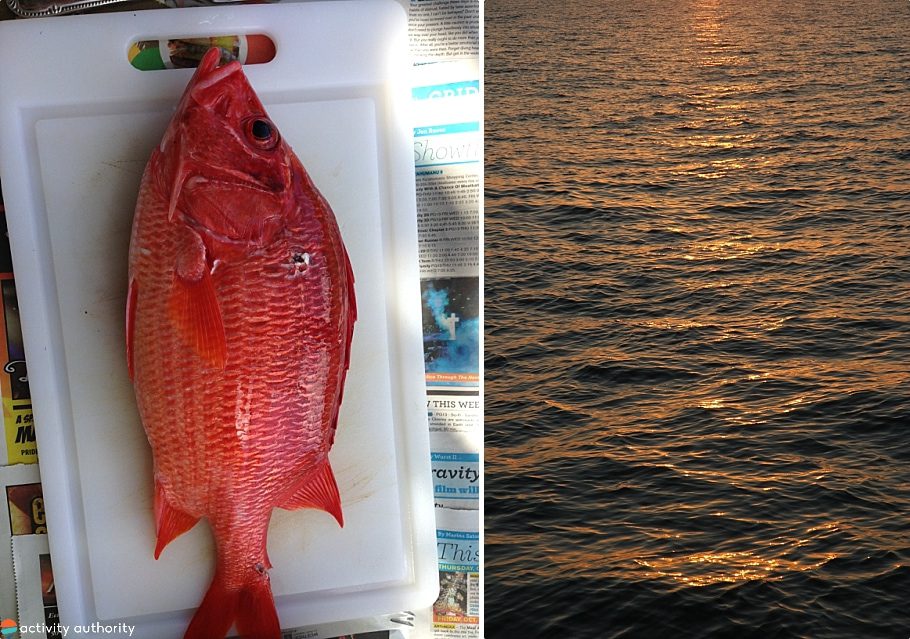 Top Kona Fishing Tours Fish Water