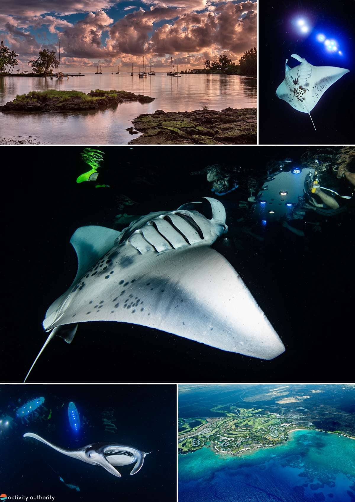 Kona Manta Ray Tour Experience