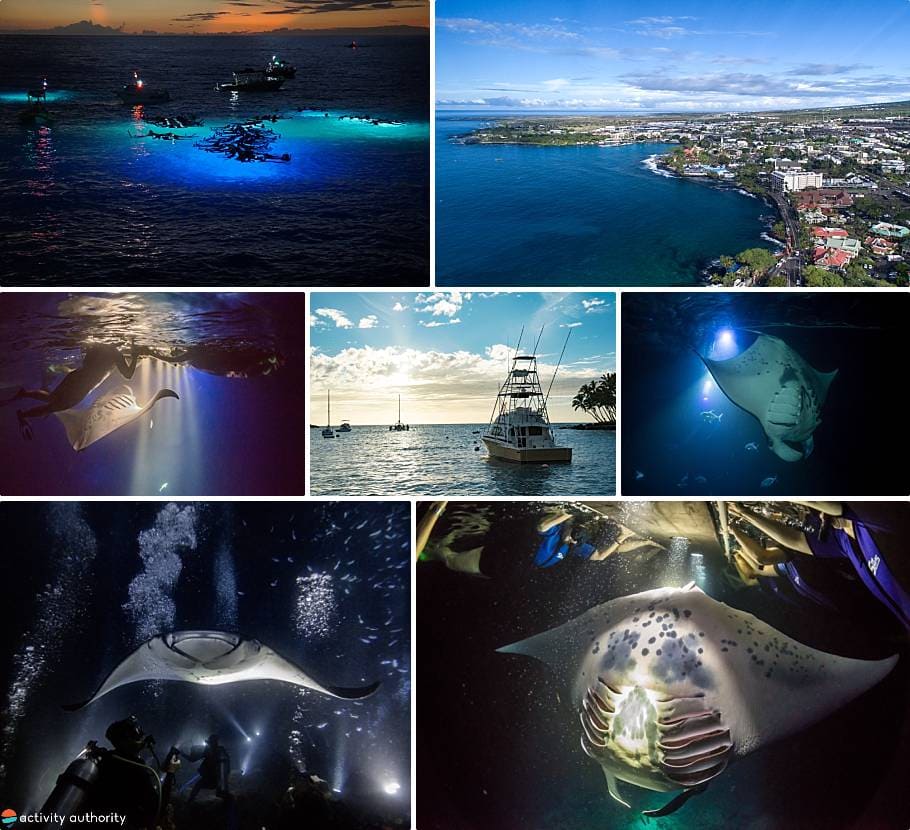 Kona Manta Ray Snorkel Experience