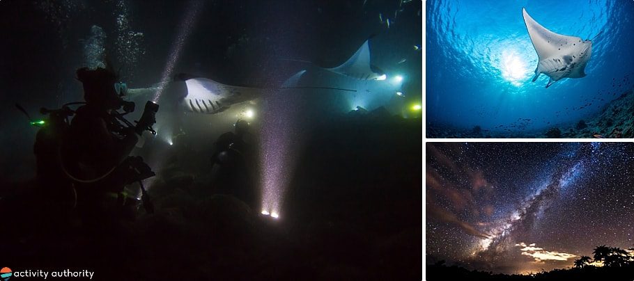 Top Kona Manta Ray Tours Dark Lights
