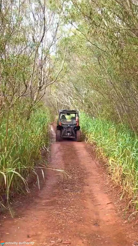 Lahaina Off Road Adventure On Trail