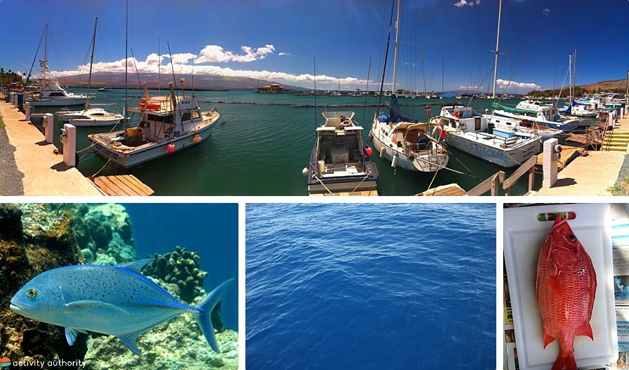 Maui Fishing Tours Harbor Boats