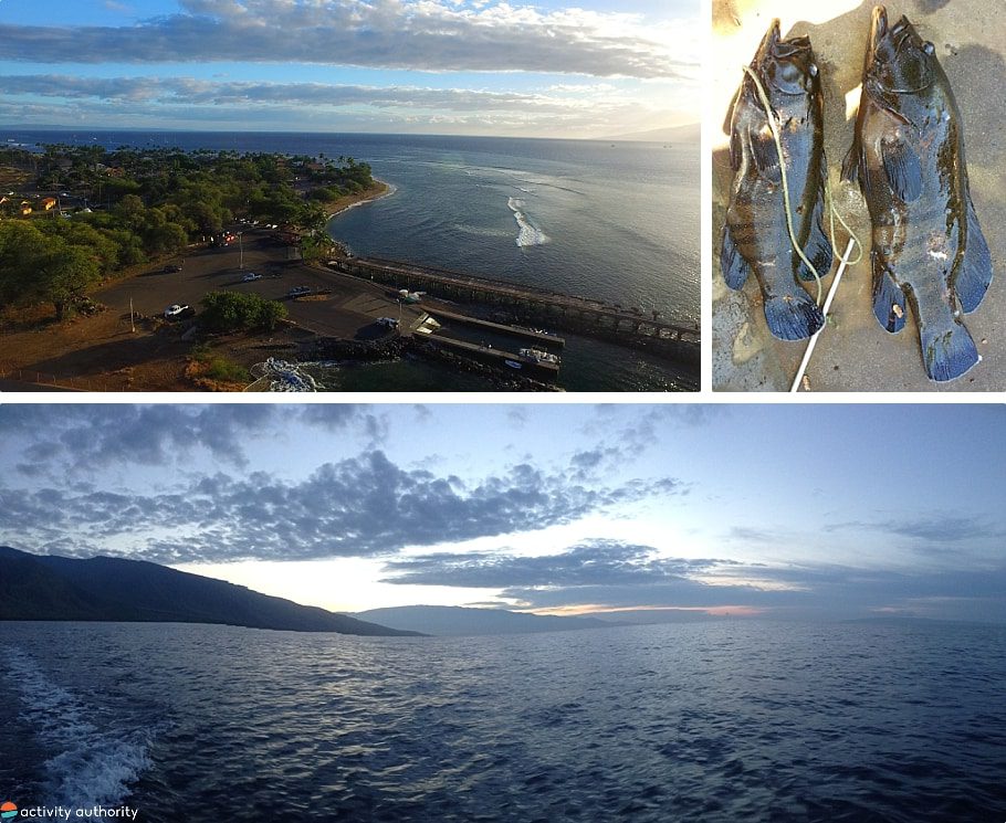 Maui Fishing Tours Morning