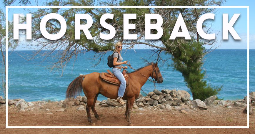 Maui horseback Maui horseback