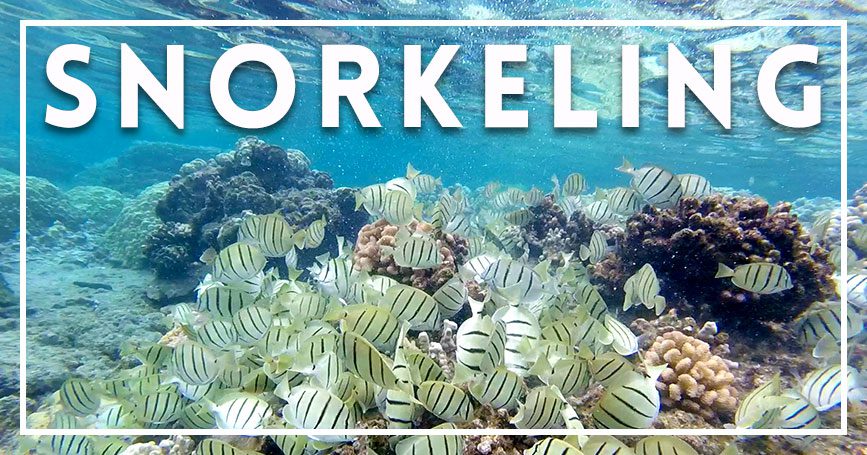 Maui snorkeling Maui snorkeling