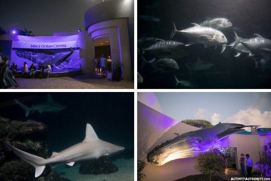 Maui Ocean Center in Maalaea