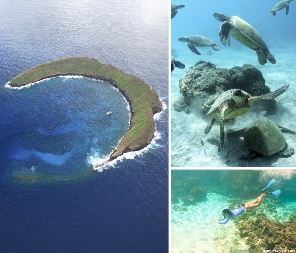 Molokini Crater snorkeling