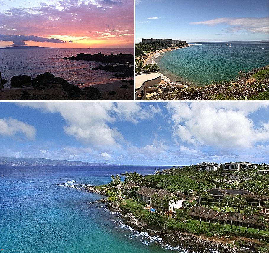 Maui Whales - South & West Maui Mystery Maui Whales South & West