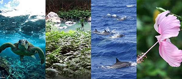 Napali Coast Experience