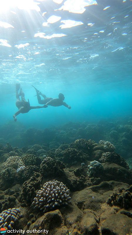 Napali Snorkel Divers