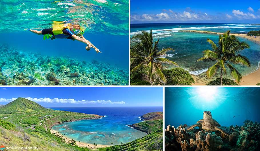 Top Oahu Activities Snorkeling