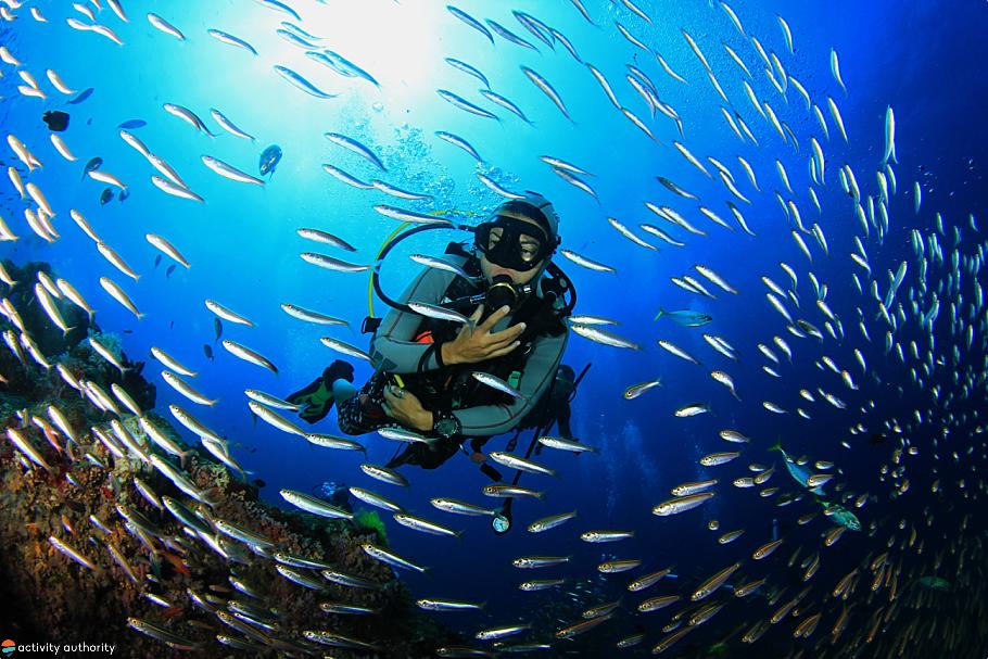 Top Oahu Activities - Scuba Dive Top Oahu Activities Scuba Dive